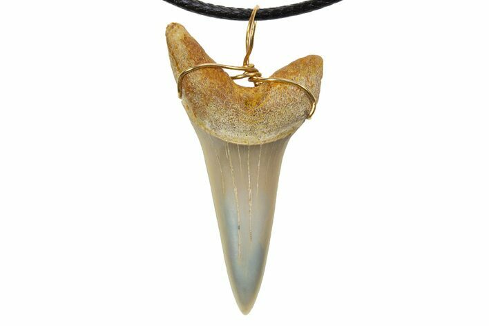 Fossil Mako Shark Tooth Necklace - Bakersfield, California #318848